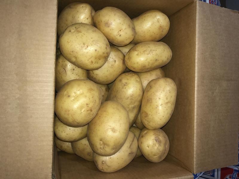 Baking Potato Suppliers Scotland