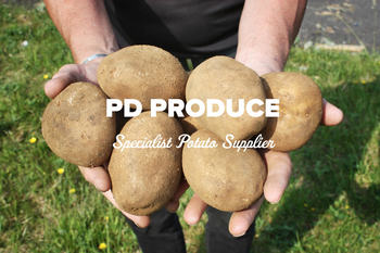Order Chipping Potato Delivery in Glasgow, Scotland from PD Produce